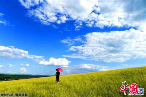 爲什麼沽源夏天涼快?涼快之處不僅僅是氣候的緣故,還與當地的人文環境和自然條件有著密不可分的關係。